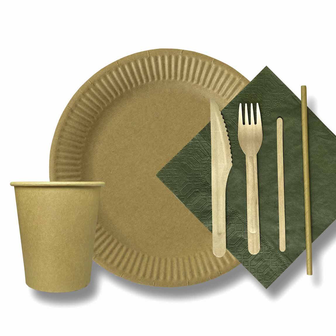 Set of disposable tableware for 20 persons